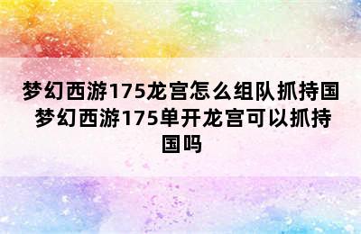 梦幻西游175龙宫怎么组队抓持国 梦幻西游175单开龙宫可以抓持国吗